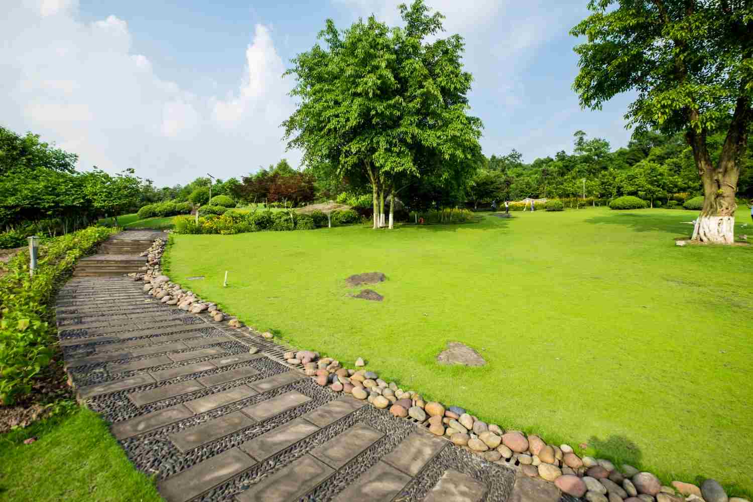 landscaping solutions
