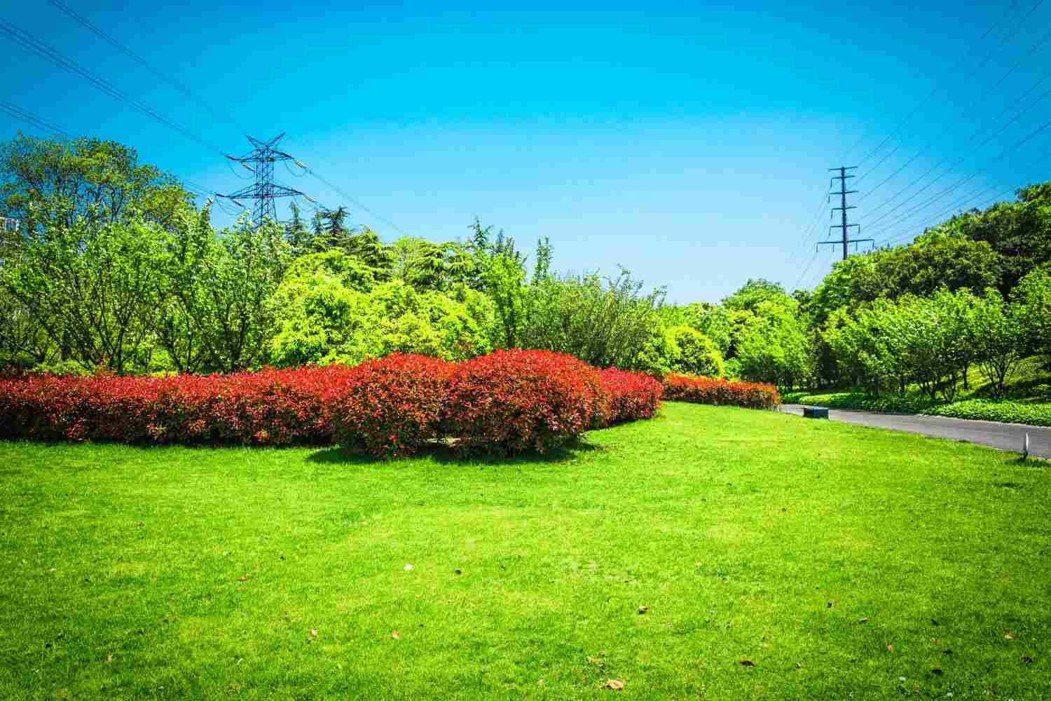 professional landscaping solutions